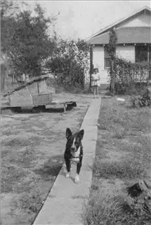 small_jeanette 2.webp